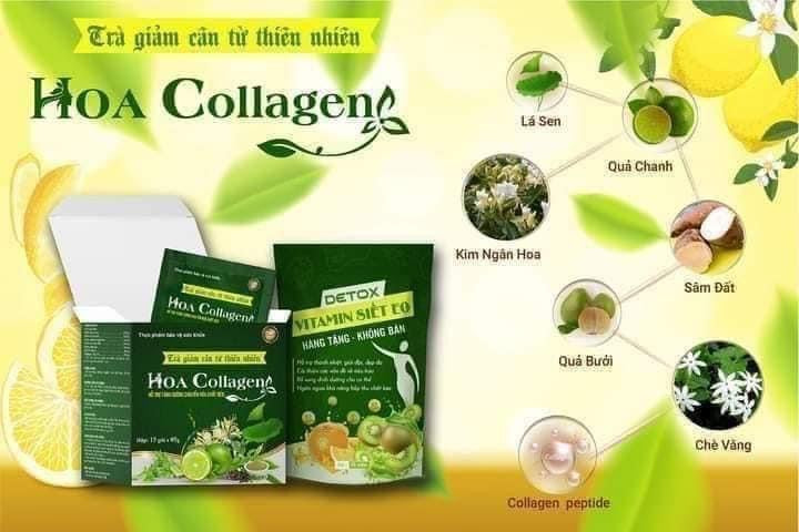 Hot Selling Hoa Collagen Weight Loss Detox